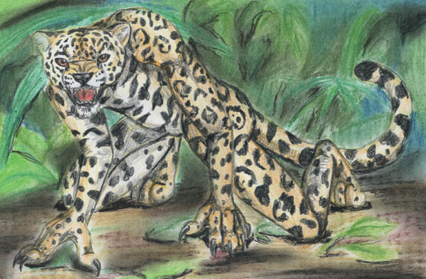 Jaguar Prowling