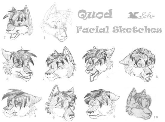 Quod Faces