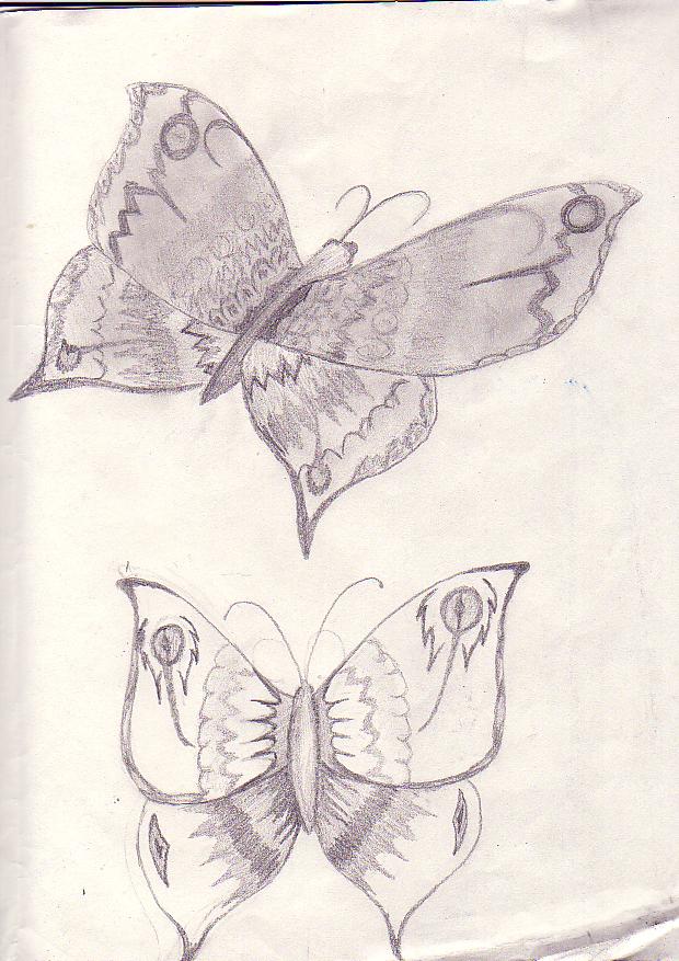 Butterflys