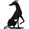 Black greyhound.