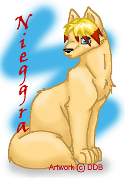 Nieggra (trade)