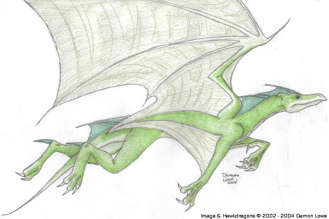 Green HawkDragon