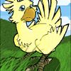 Chocobo