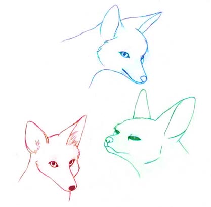 Foxes