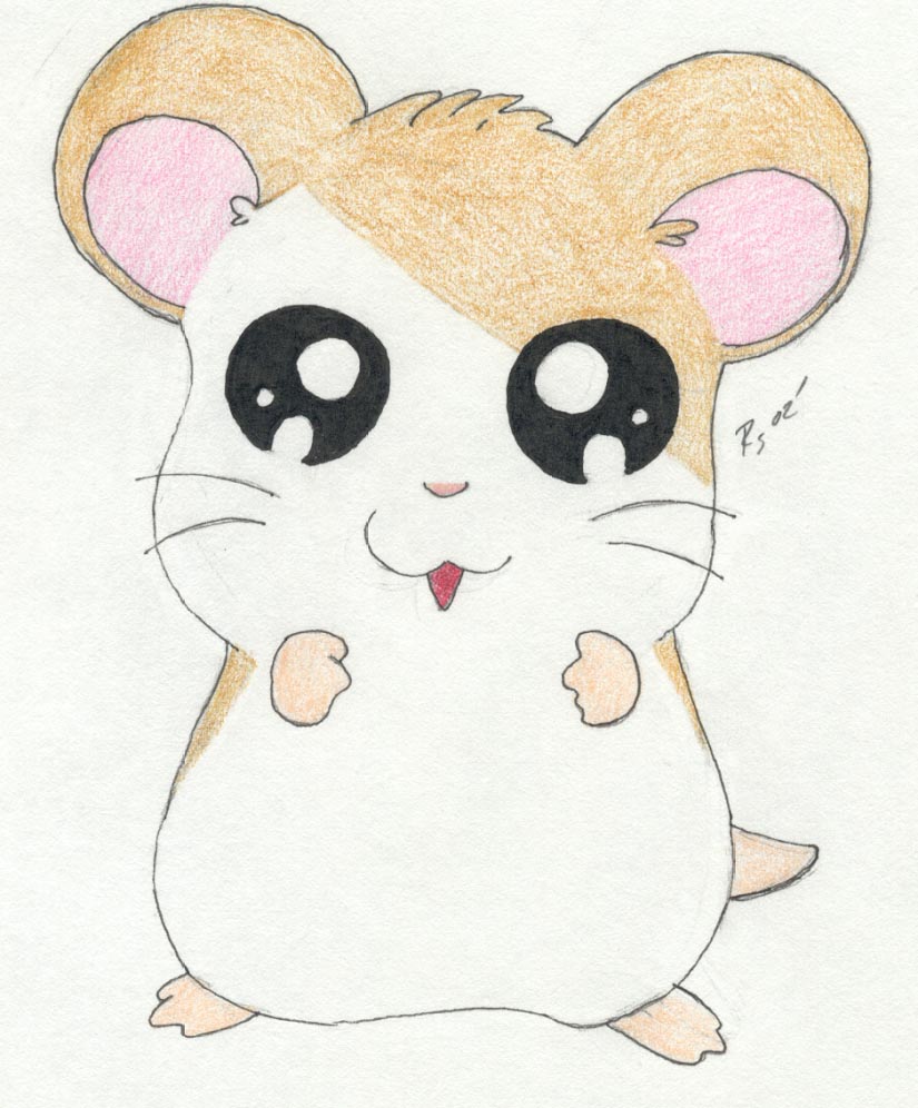 Hamtaro