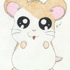 Hamtaro