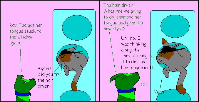 Hair Dryer