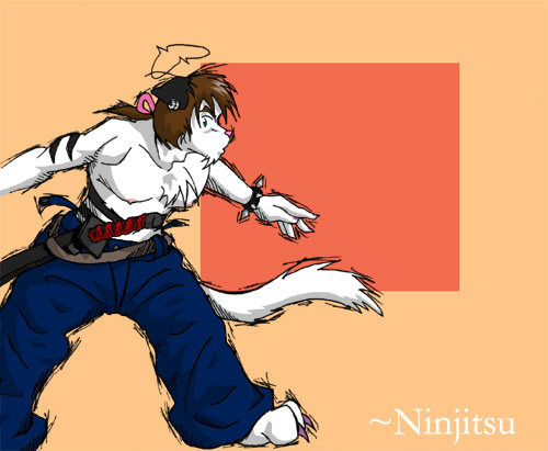 Ninjitsu