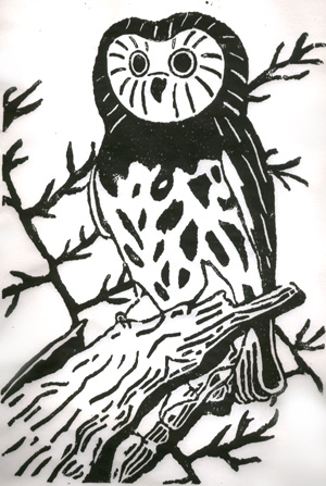 Owl Print