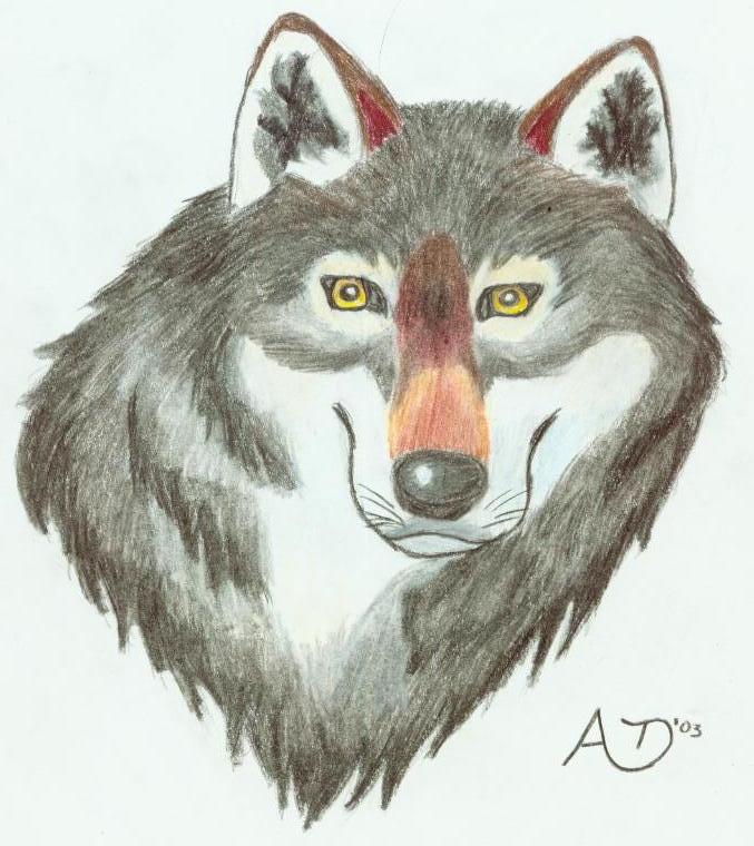 Timber Wolf