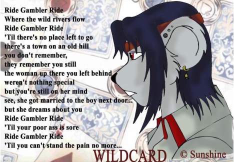 Wildcard